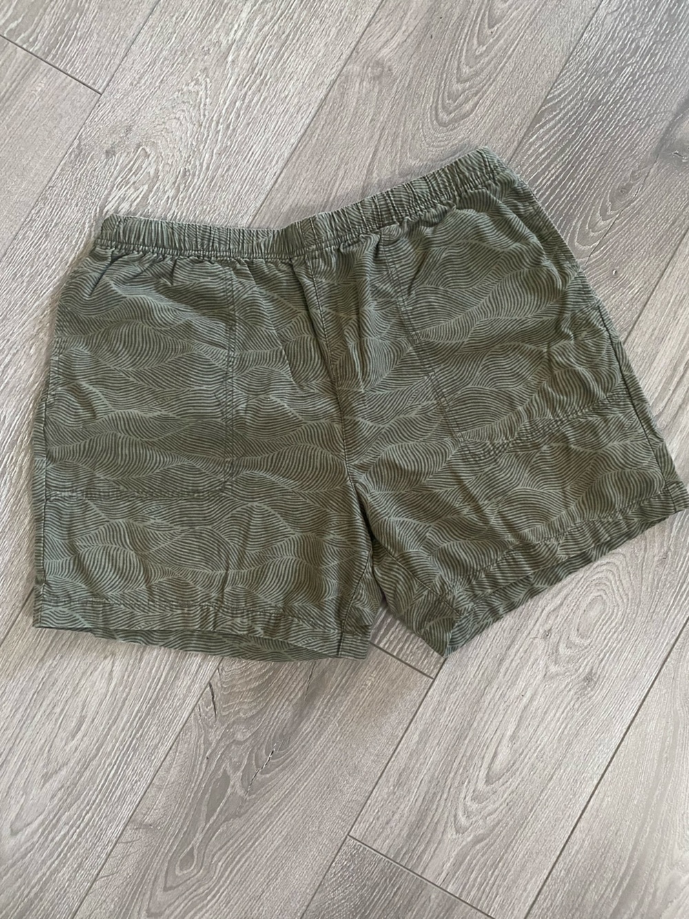 Hudson Mens Green Shorts
